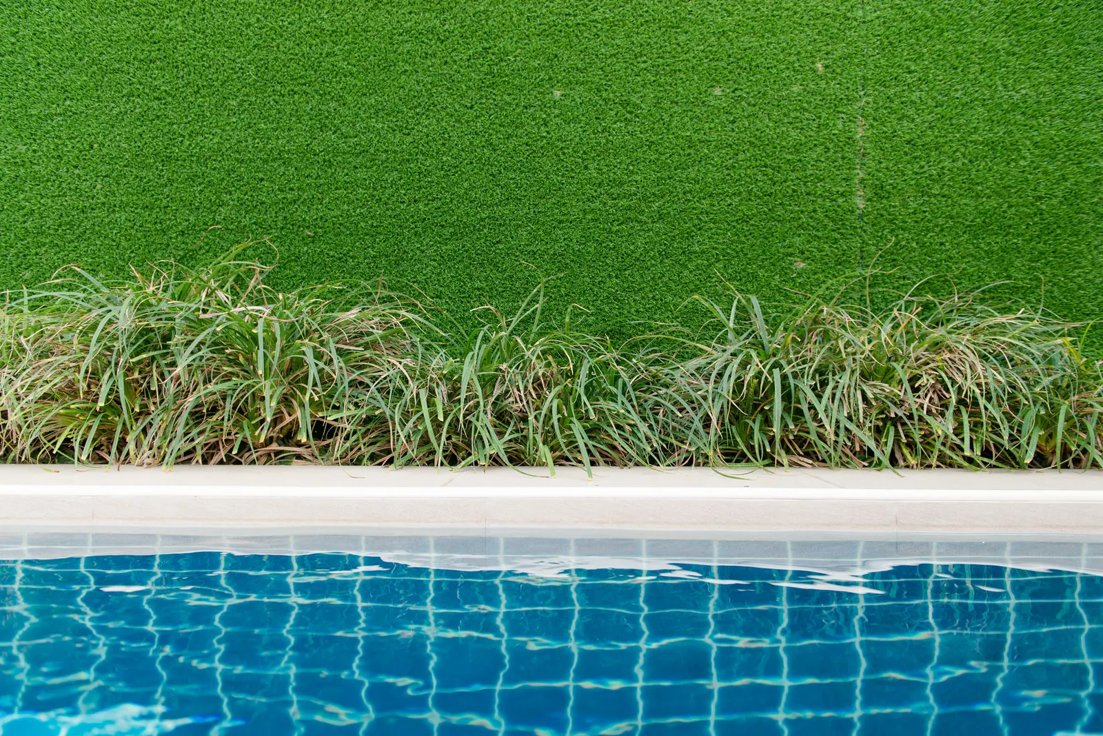 Artificial turf lawn bordered by ornamental grasses at the edge of a pool